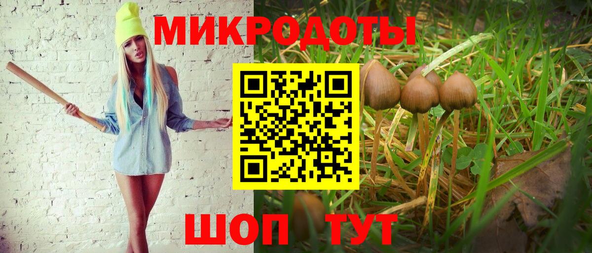 Галлюциногенные грибы Cubensis Каменка