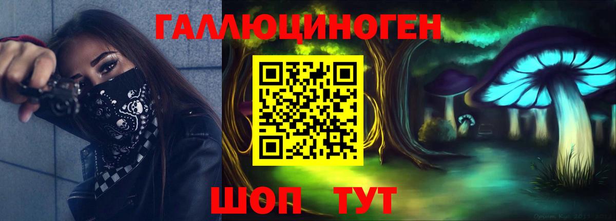 Галлюциногенные грибы Psilocybe  Псилоцибиновые грибы GOLDEN TEACHER  Вход с VPN  Каменка 