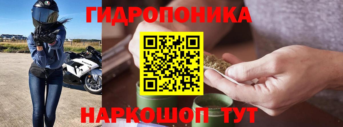 Каннабис сатива Каменка